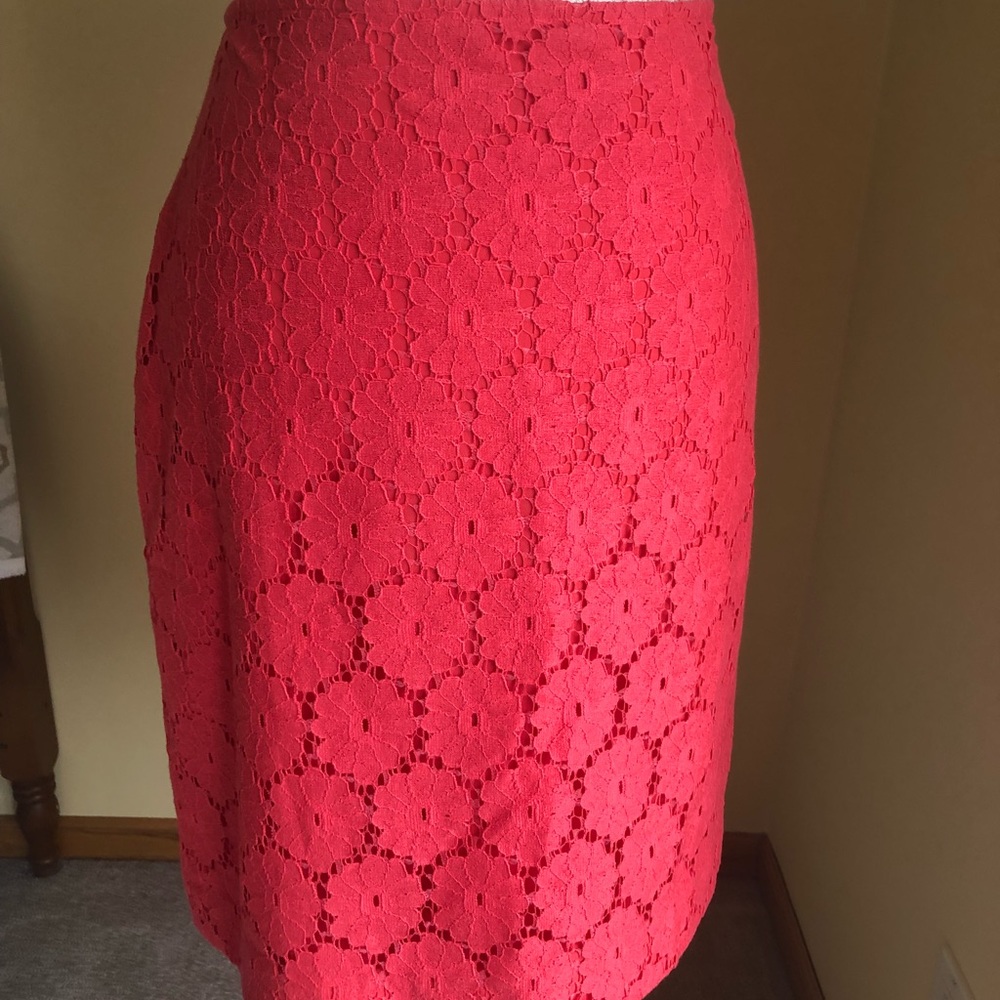 Ann Taylor skirt